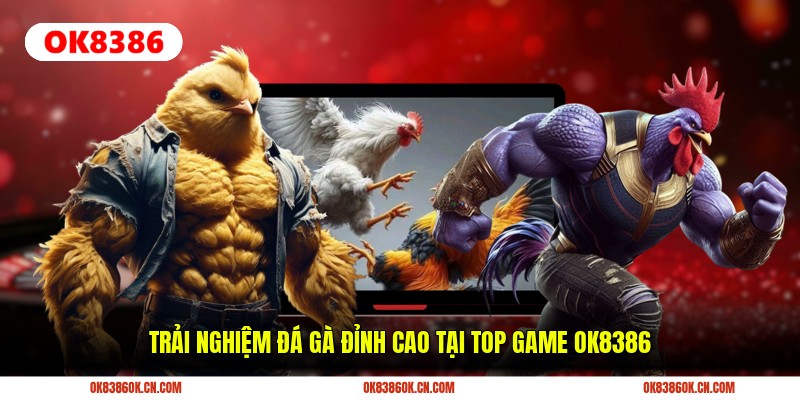Trải nghiệm đá gà đỉnh cao tại top game OK8386